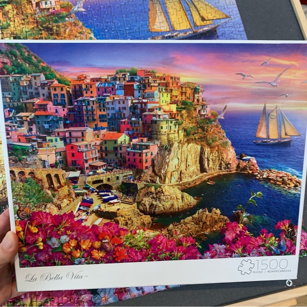 BUFFALO 1500 piece jigsaw puzzle, La Bella Vita. Complete!